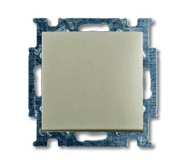 Цвет Шампань Basic 55
