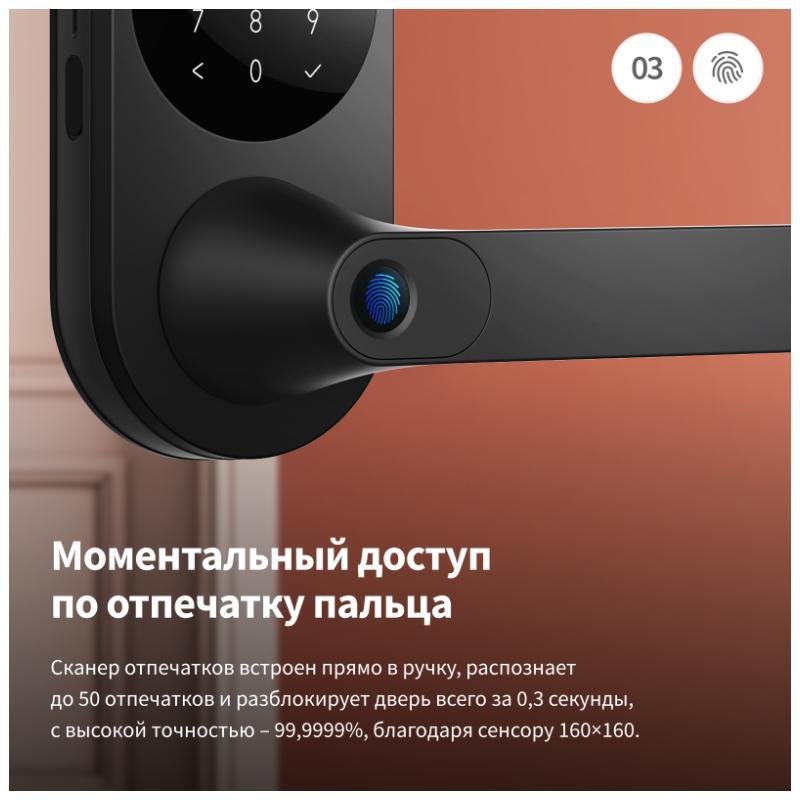 Миниатюра 6