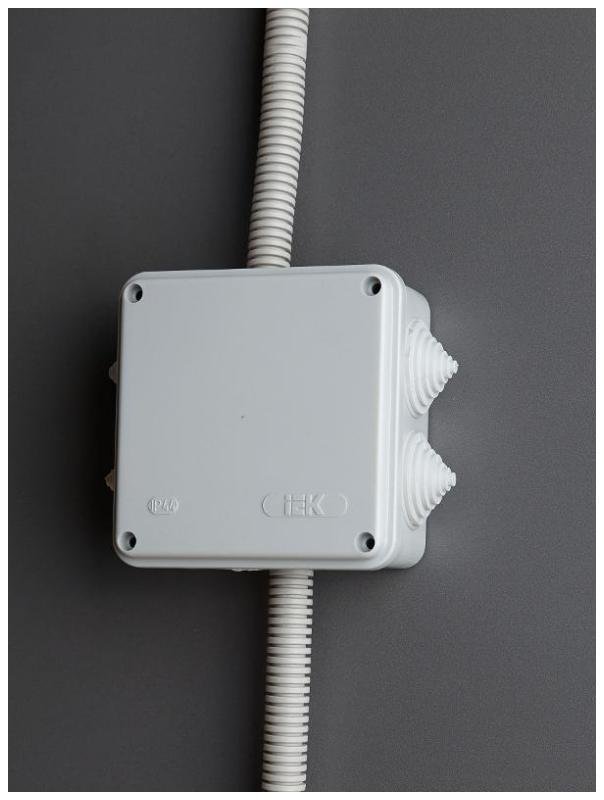 Миниатюра 5