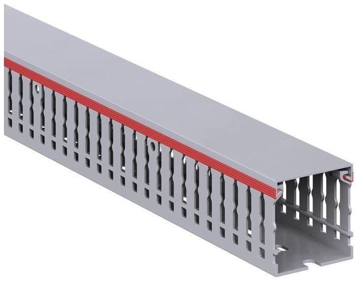 DKC 01134RL Кабель-канал перфорированный 40х40 L2000 RL6 G