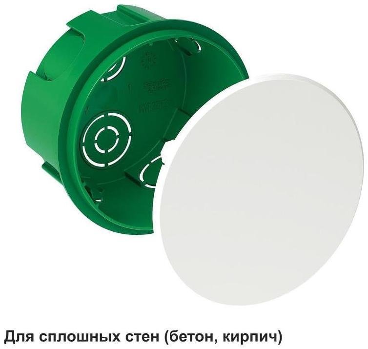 Миниатюра 7