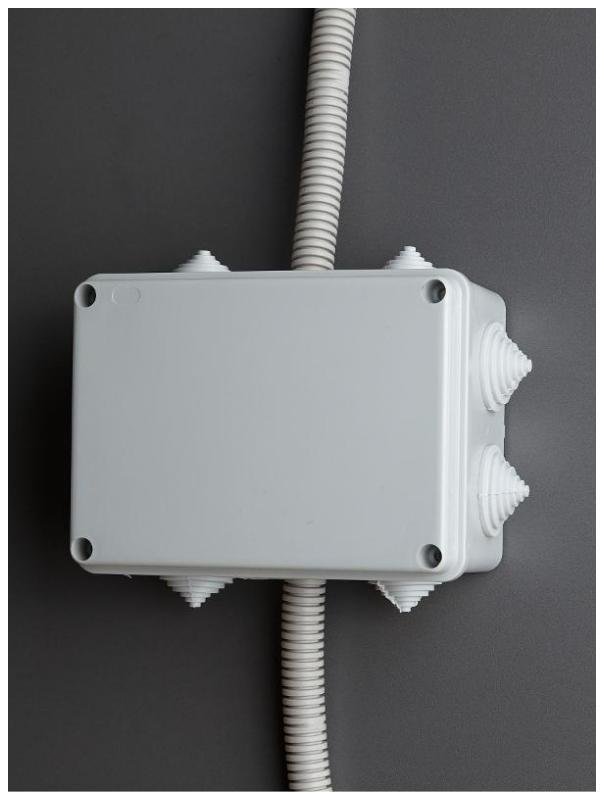 Миниатюра 6