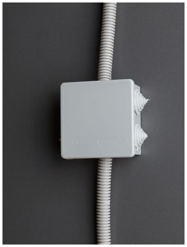 Миниатюра 4