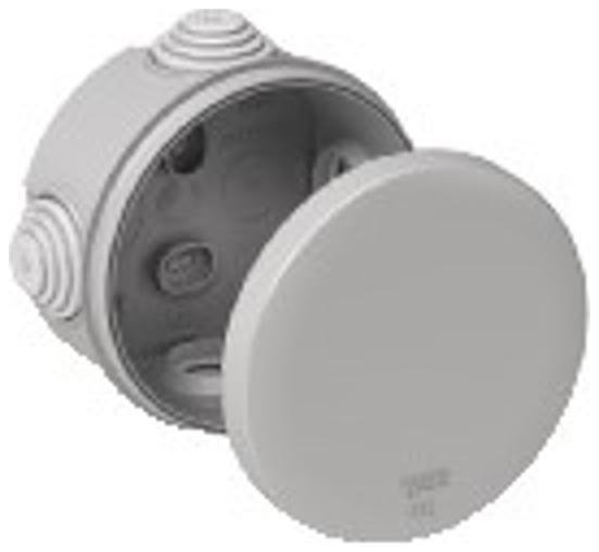 Миниатюра 6