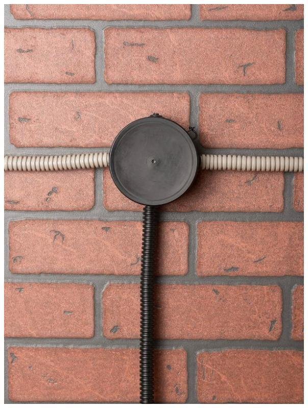 Миниатюра 5