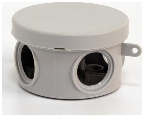 Миниатюра 2