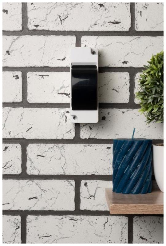 Миниатюра 6