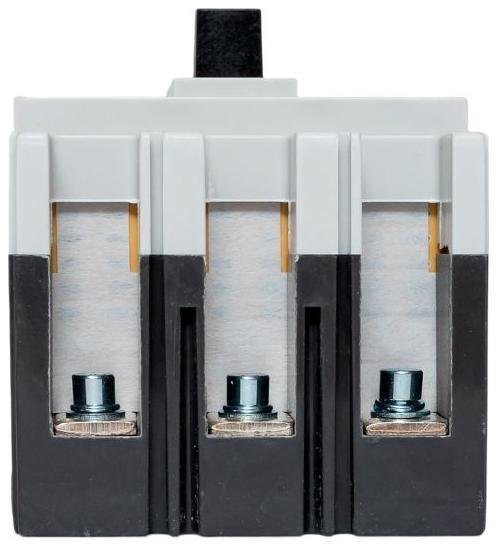 Миниатюра 7