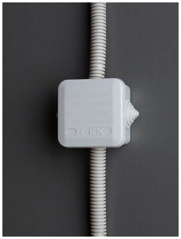 Миниатюра 5