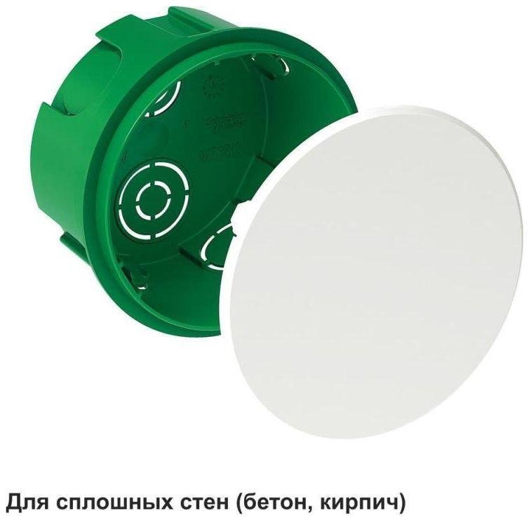 Миниатюра 5