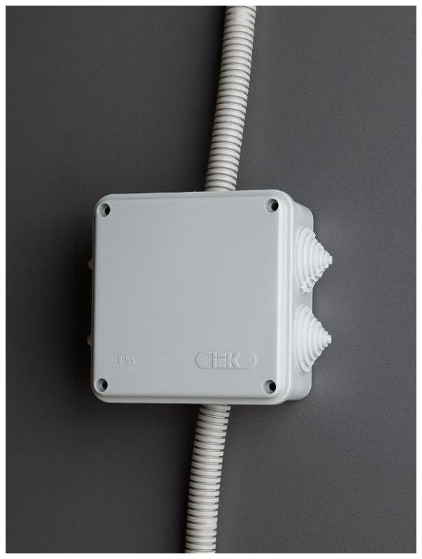 Миниатюра 6