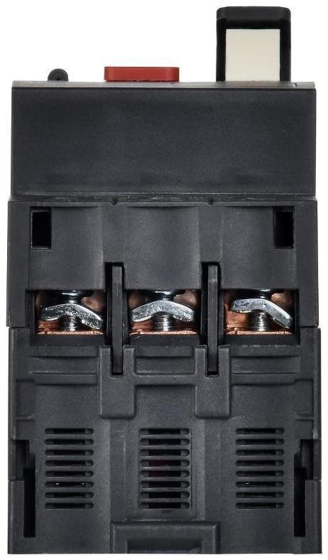 Миниатюра 6