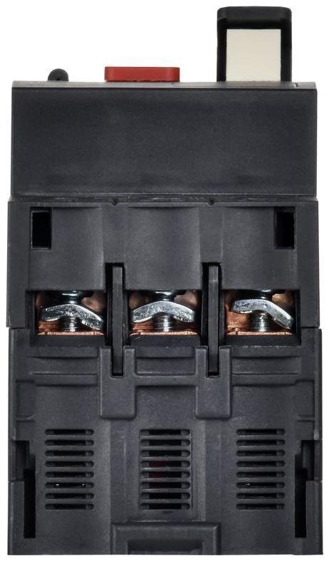 Миниатюра 5