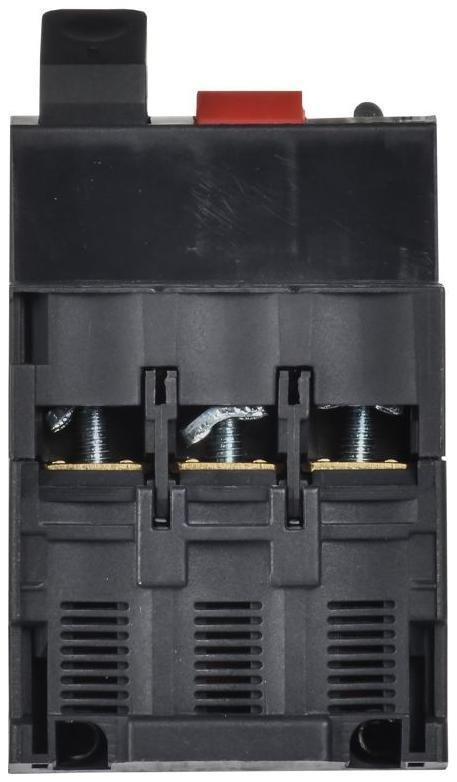 Миниатюра 6