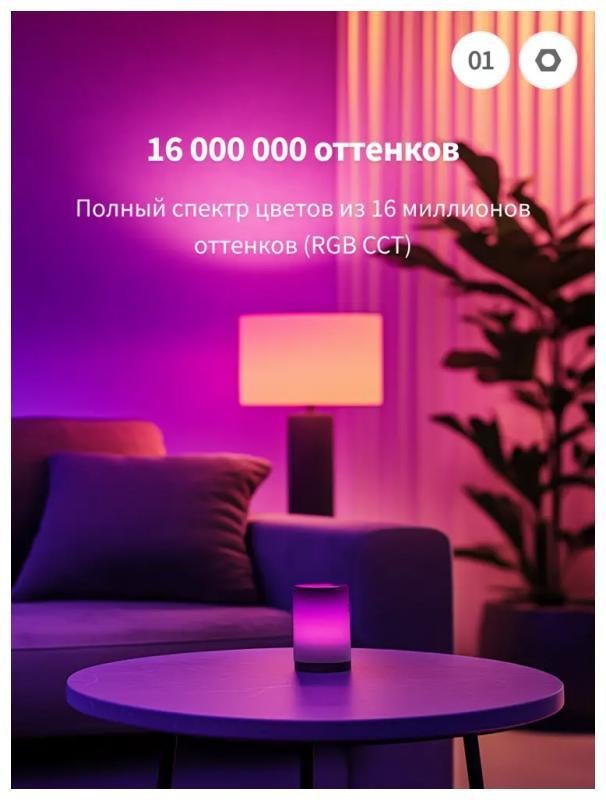 Миниатюра 3