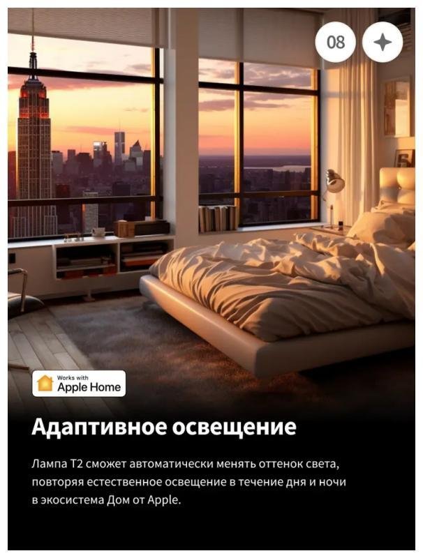 Миниатюра 9