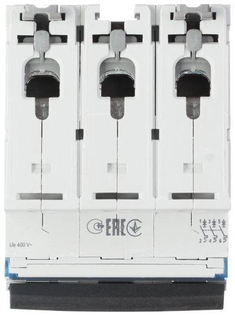 Миниатюра 5