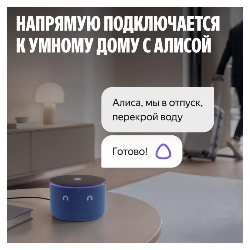 Миниатюра 8