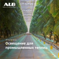 Свет как инструмент управления урожаем