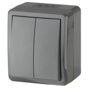 Выключатель двойной IP54, 10АХ-250В, 11-1404-03, ОУ, Эксперт, серый (16/160/2560) |Б0020676 | ЭРА