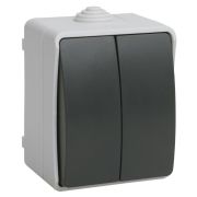 Форс Выключатель 2-клавишный О/У IP54 ВС20-2-0-ФСр| EVS20-K03-10-54-DC | IEK