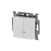 ABB Basic 55 Альп. белый Выключатель 2-клавишный с подсветкой | 1012-0-2154 | 2CKA001012A2154 | ABB