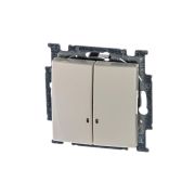 ABB Basic 55 Сл. кость Выключатель 2-клавишный с подсветкой | 1012-0-2157 | 2CKA001012A2157 | ABB