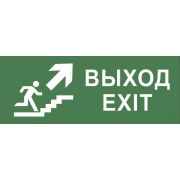 Самоклеющая этикетка INFO-SSA-110 Выход/лестница вверх/фигура SSA-101 | Б0048479 | ЭРА