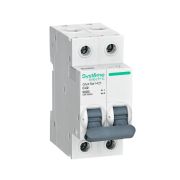 Выключатель автоматический двухполюсный 40A C 6kA City9 | C9F36240 |Systeme Electric