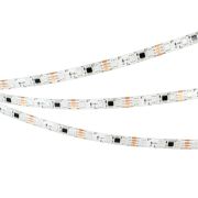 Лента светодиодная SPI-SE-B60-10mm 12V RGB-PX3-BPT 12Вт/м IP65 5060 герметичная бегущий огонь (уп.5м) Arlight 039597