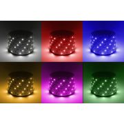 Лента светодиодная  LS5050 -14,4-60-12-RGB+W(6500)-IP20-1 year-5m RGB+холодный белый 5м | Б0059911 | ЭРА