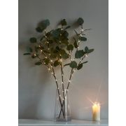 Ветвь эвкалипта имитация 62см 32LED тепл. бел. IP44 6ч таймер кабель корич. 50см (уп.3шт) КОСМОС KOC_INT-B131
