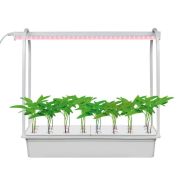 Светильник светодиодный для растений ULT-P44D-10W/SPLE AQUA SIMPLE WHITE IP20 с подставкой «Минисад AQUA SIMPLE» спектр для фотосинтеза Uniel UL-00004499